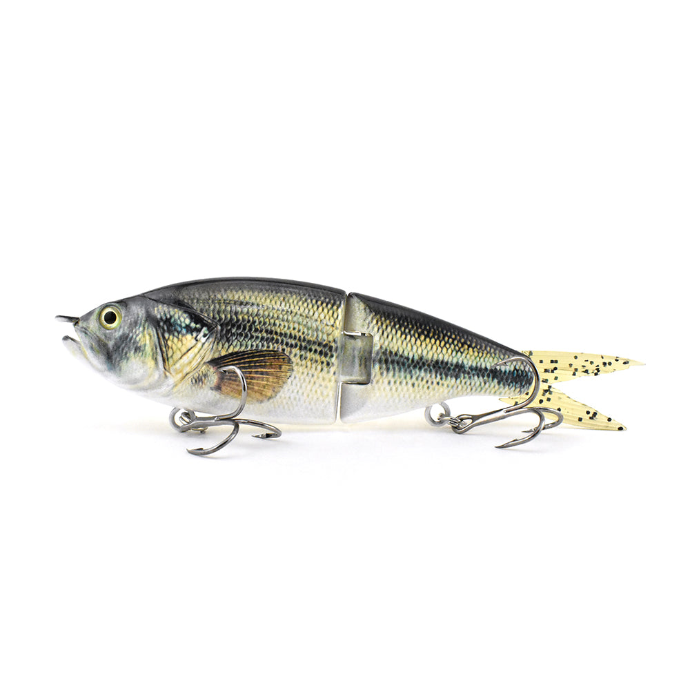 Shad Swim Bait Set